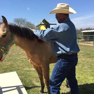 Meet your Posher, Chad